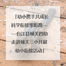 幼小携手共成长科学衔接零距离——台江县城关四幼走进城关三小开展幼小衔接活动