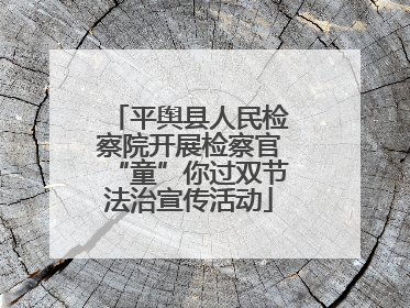 平舆县人民检察院开展检察官“童”你过双节法治宣传活动