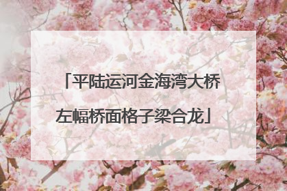 平陆运河金海湾大桥左幅桥面格子梁合龙