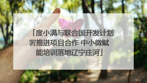 度小满与联合国开发计划署推进项目合作 中小微赋能培训落地辽宁庄河