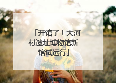 开馆了！大河村遗址博物馆新馆试运行
