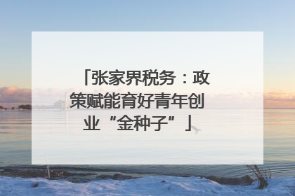 张家界税务:政策赋能育好青年创业“金种子”