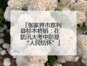张家界市慈利县杉木桥镇：在防汛大考中彰显“人民情怀”