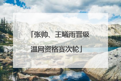 张帅、王曦雨晋级温网资格赛次轮