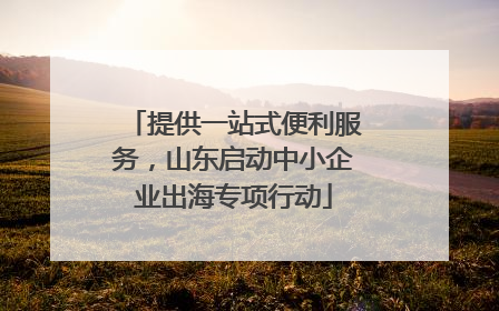 提供一站式便利服务，山东启动中小企业出海专项行动
