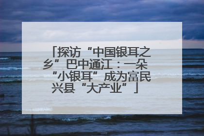 探访“中国银耳之乡”巴中通江：一朵“小银耳”成为富民兴县“大产业”
