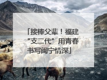接棒父辈！福建“支二代”用青春书写闽宁情深