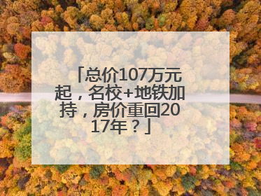 总价107万元起，名校+地铁加持，房价重回2017年？