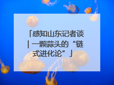 感知山东记者谈｜一颗蒜头的“链式进化论”