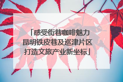 感受街巷咖啡魅力 昆明铁皮巷及巡津片区打造文旅产业新坐标