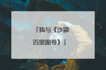 我与《沙颍百里图卷》