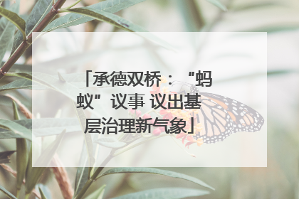 承德双桥：“蚂蚁”议事 议出基层治理新气象