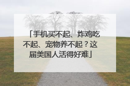 手机买不起、炸鸡吃不起、宠物养不起？这届美国人活得好难