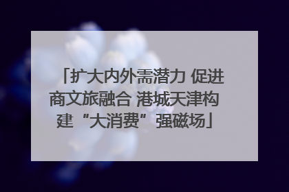 扩大内外需潜力 促进商文旅融合 港城天津构建“大消费”强磁场