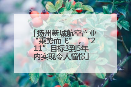 扬州新城航空产业“乘势而飞”，“211”目标3到5年内实现令人憧憬