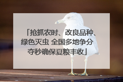 抢抓农时、改良品种、绿色灭虫 全国多地争分夺秒确保夏粮丰收