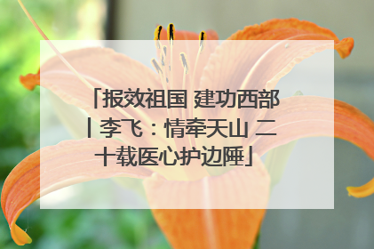 报效祖国 建功西部丨李飞：情牵天山 二十载医心护边陲