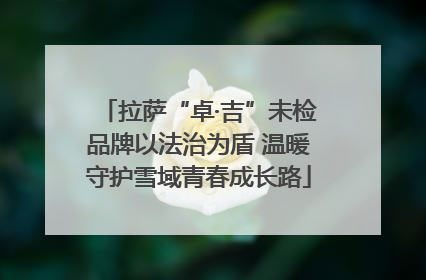 拉萨“卓·吉”未检品牌以法治为盾 温暖守护雪域青春成长路