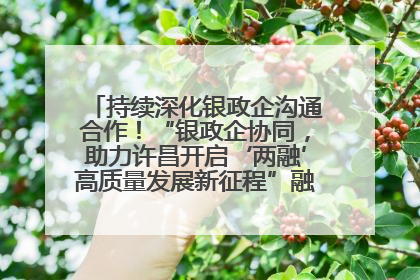 持续深化银政企沟通合作！“银政企协同，助力许昌开启‘两融’高质量发展新征程”融资对接会举行