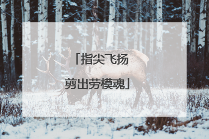 指尖飞扬 剪出劳模魂