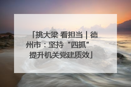 挑大梁 看担当｜德州市：坚持“四抓” 提升机关党建质效