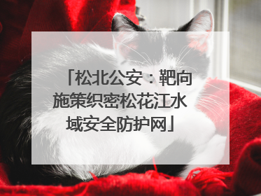 松北公安：靶向施策织密松花江水域安全防护网