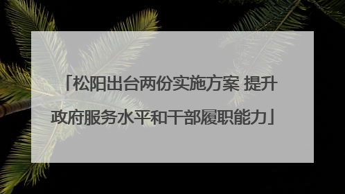 松阳出台两份实施方案 提升政府服务水平和干部履职能力