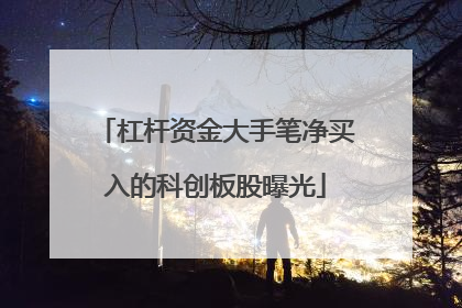 杠杆资金大手笔净买入的科创板股曝光