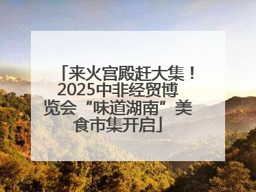 来火宫殿赶大集！2025中非经贸博览会“味道湖南”美食市集开启