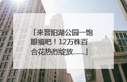 来晋阳湖公园一饱眼福吧！12万株百合花热烈绽放……