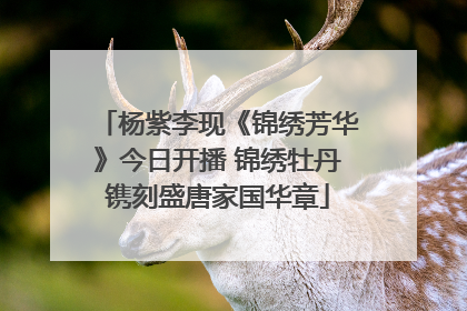 杨紫李现《锦绣芳华》今日开播 锦绣牡丹镌刻盛唐家国华章
