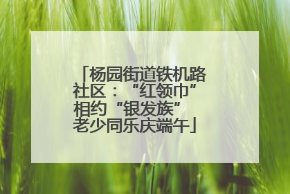 杨园街道铁机路社区：“红领巾”相约“银发族” 老少同乐庆端午