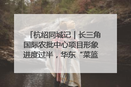 杭绍同城记｜长三角国际农批中心项目形象进度过半，华东“菜篮子”建设加码提速！