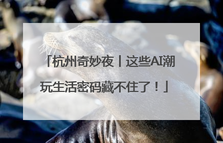 杭州奇妙夜丨这些AI潮玩生活密码藏不住了！