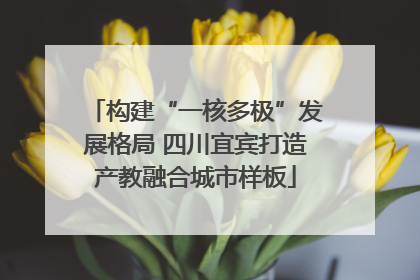 构建“一核多极”发展格局 四川宜宾打造产教融合城市样板