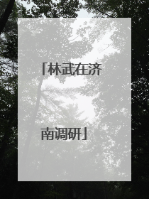 林武在济南调研