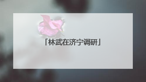 林武在济宁调研