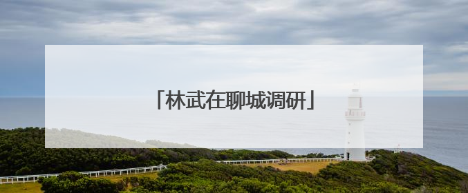 林武在聊城调研