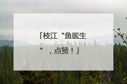 枝江“鱼医生”，点赞！