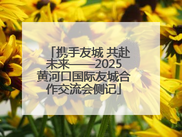 携手友城 共赴未来——2025黄河口国际友城合作交流会侧记