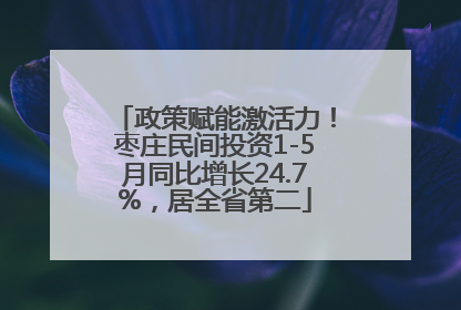 政策赋能激活力！枣庄民间投资1-5月同比增长24.7%，居全省第二