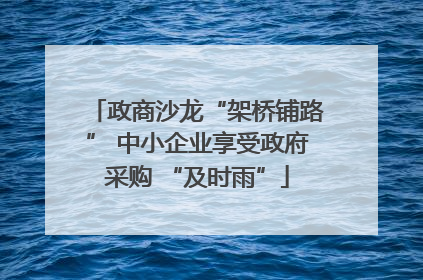 政商沙龙“架桥铺路” 中小企业享受政府采购 “及时雨”