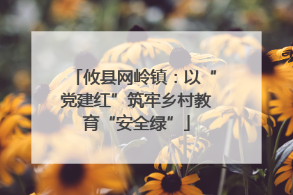 攸县网岭镇：以“党建红”筑牢乡村教育“安全绿”