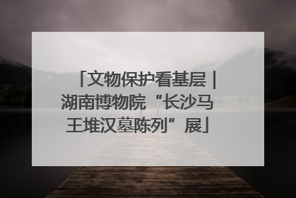 文物保护看基层｜湖南博物院“长沙马王堆汉墓陈列”展