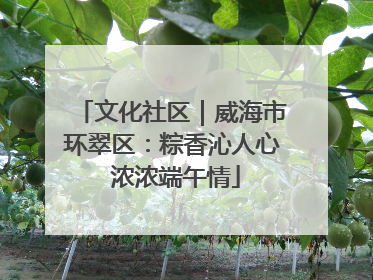 文化社区｜威海市环翠区：粽香沁人心 浓浓端午情