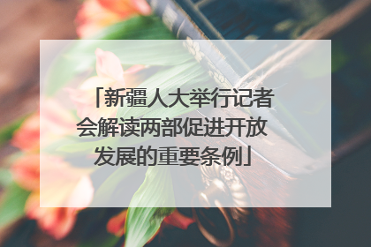 新疆人大举行记者会解读两部促进开放发展的重要条例