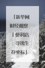 新华网财经观察丨便利店：寻找生存坐标