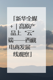 新华全媒+｜高原产品上“云”端——西藏电商发展一线观察