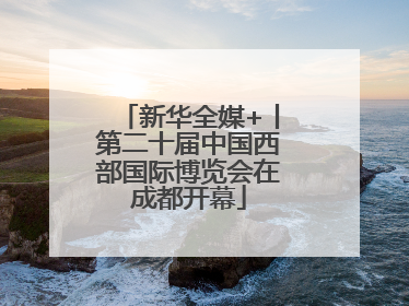 新华全媒+丨第二十届中国西部国际博览会在成都开幕