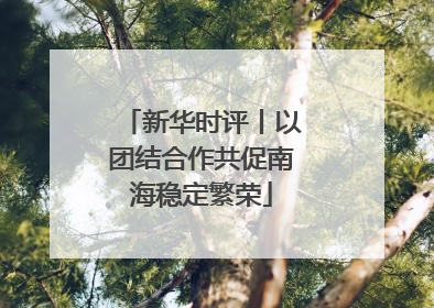 新华时评丨以团结合作共促南海稳定繁荣